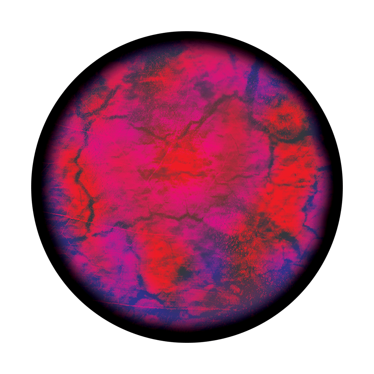 Microscope Slide