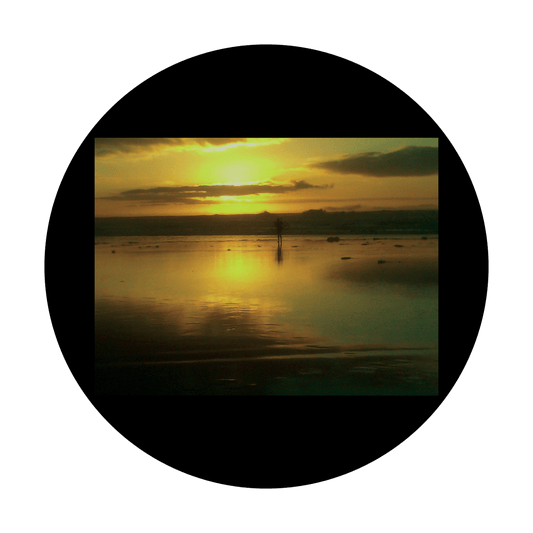D. Antonakos - West Coast Sunset