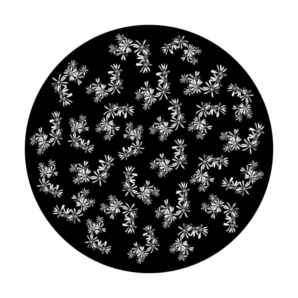 Breakup Flowers