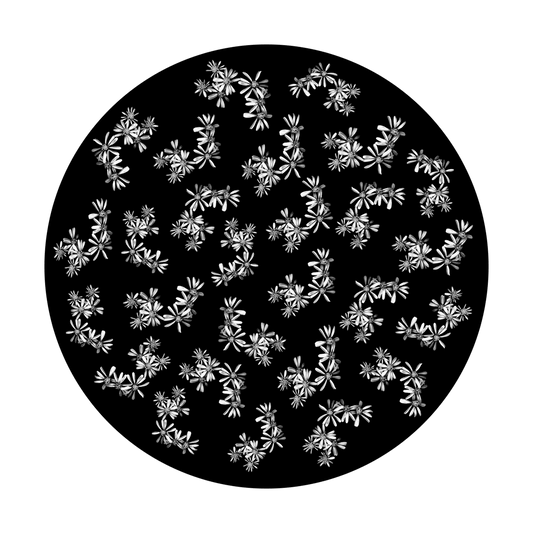 Breakup Flowers