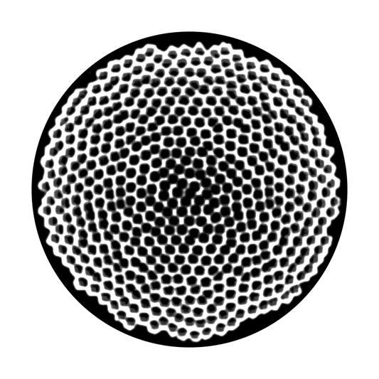 Hive