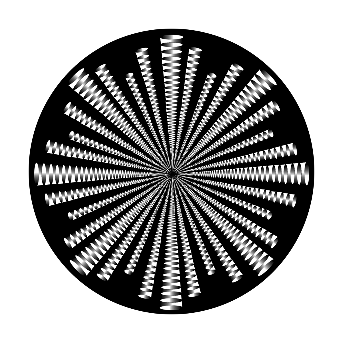 Lapse