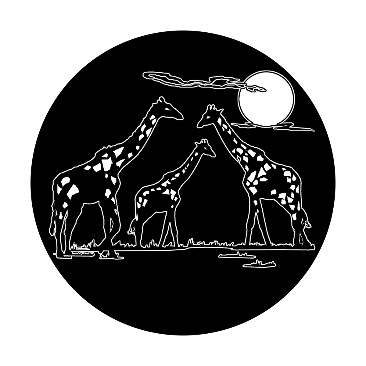 Safari