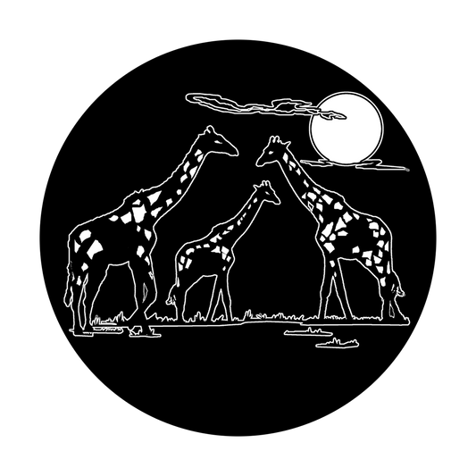 Safari
