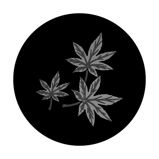 Maple Leaf