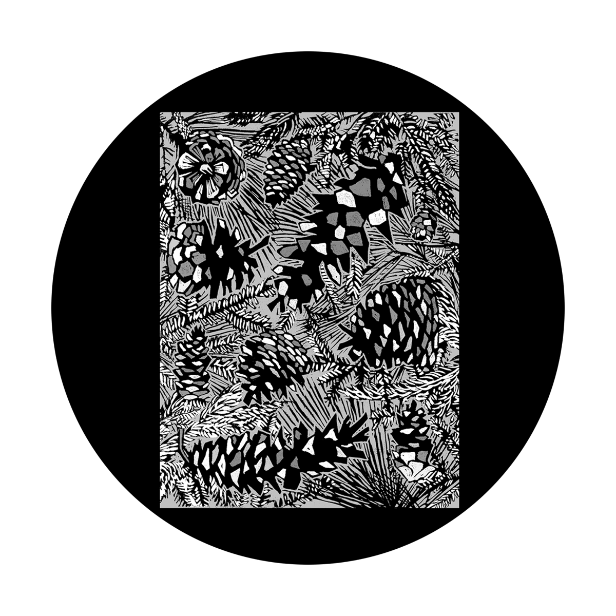 Pine Cones