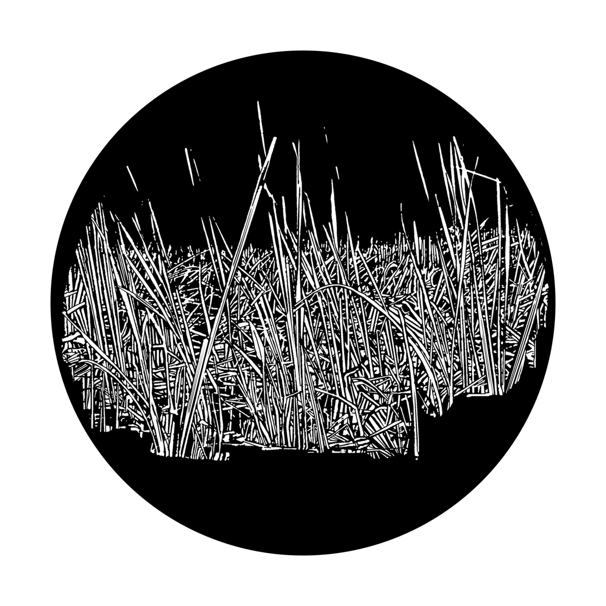 Grass