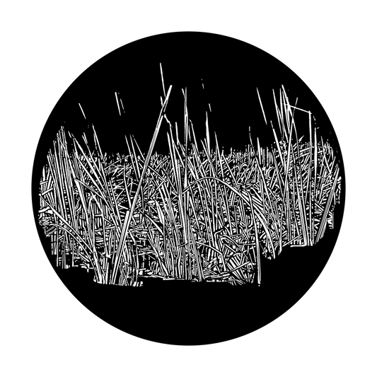 Grass