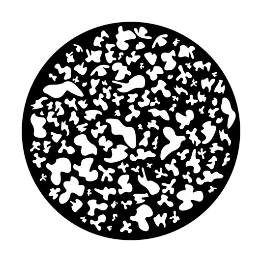 Polymeoba