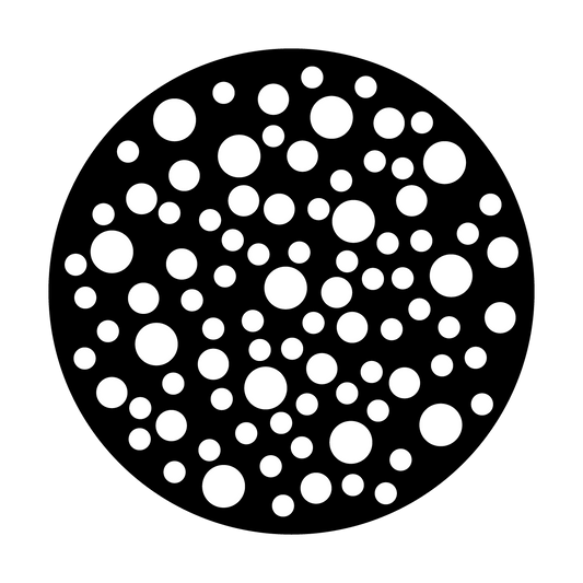 Xylem