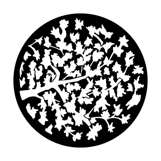Leaves With Limb