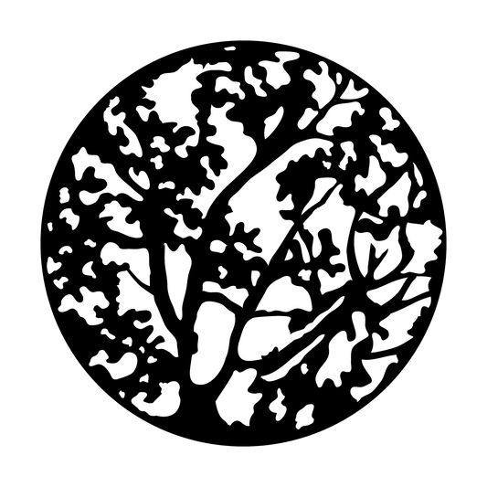 Spring Branches