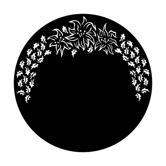 Poinsettia