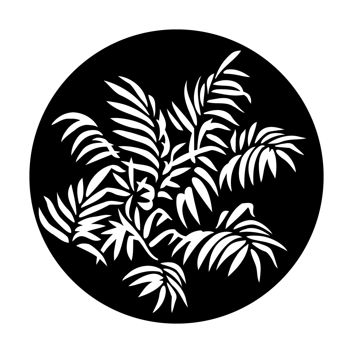 Foliage Ferns