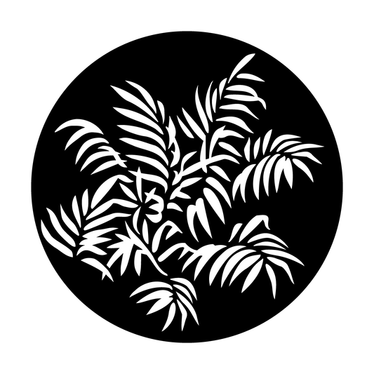 Foliage Ferns