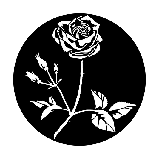 Rose with Stem