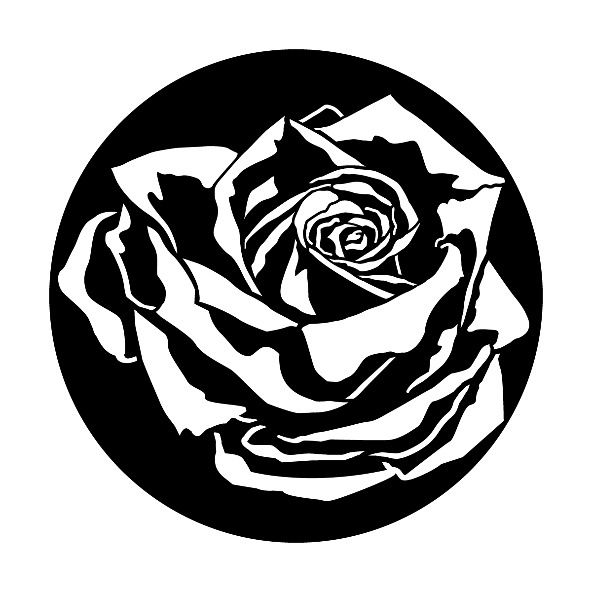 Rose with Shadow