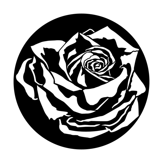 Rose with Shadow