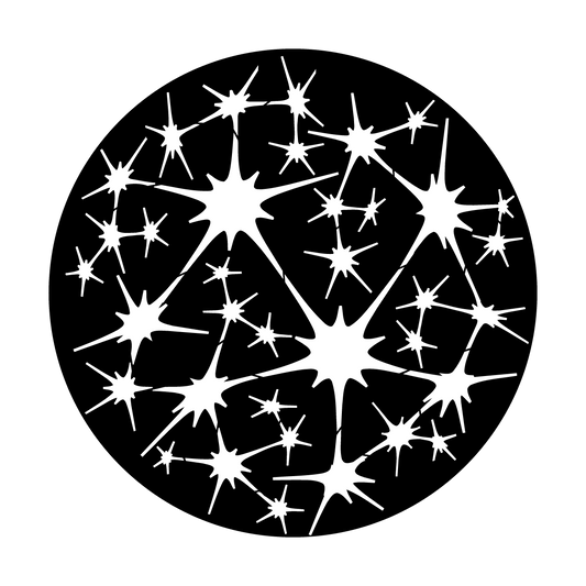 Neurons