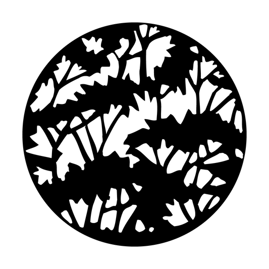 Leaves Forest