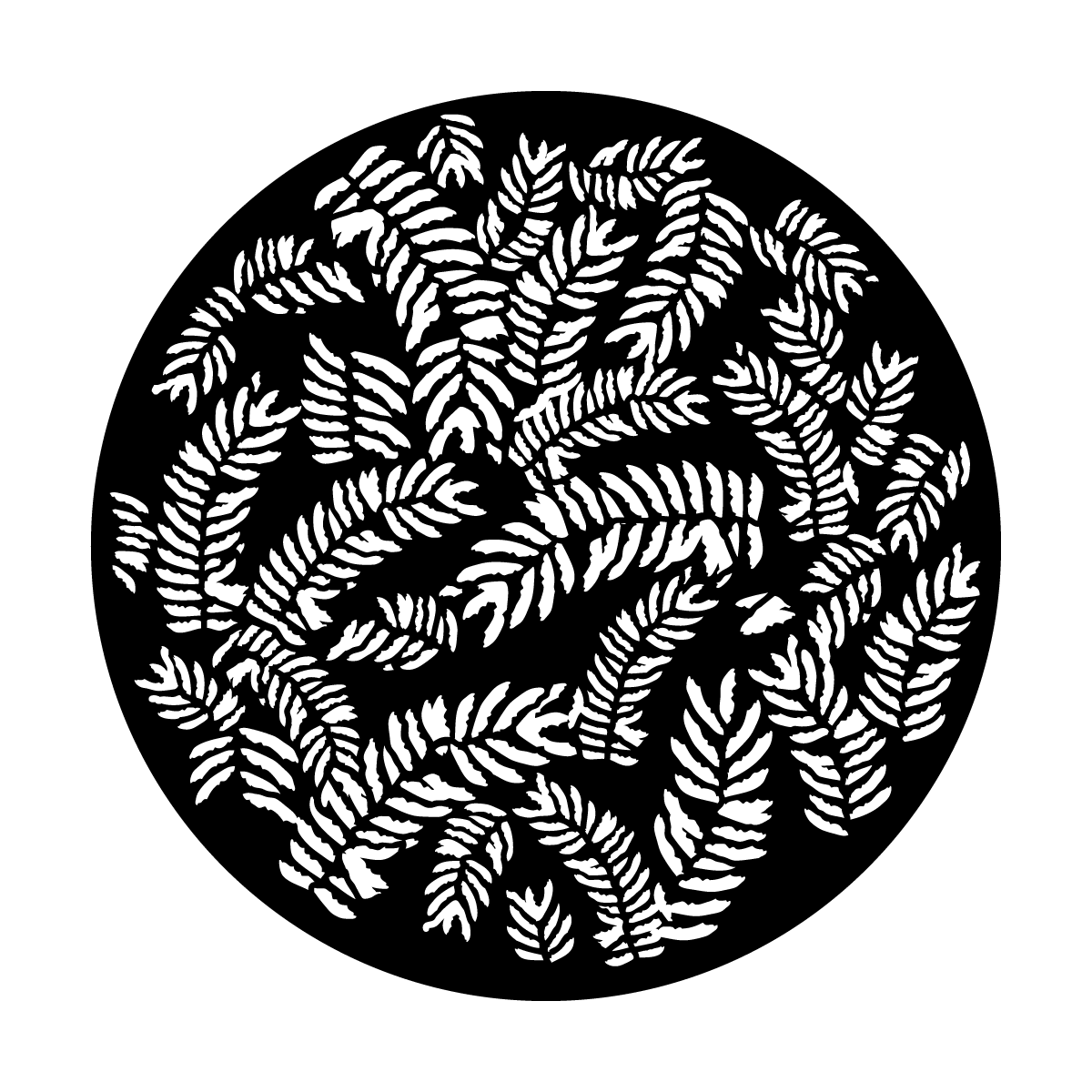 Fern