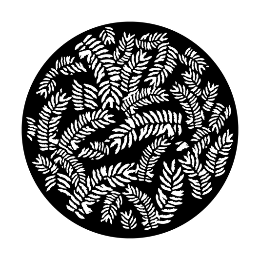 Fern