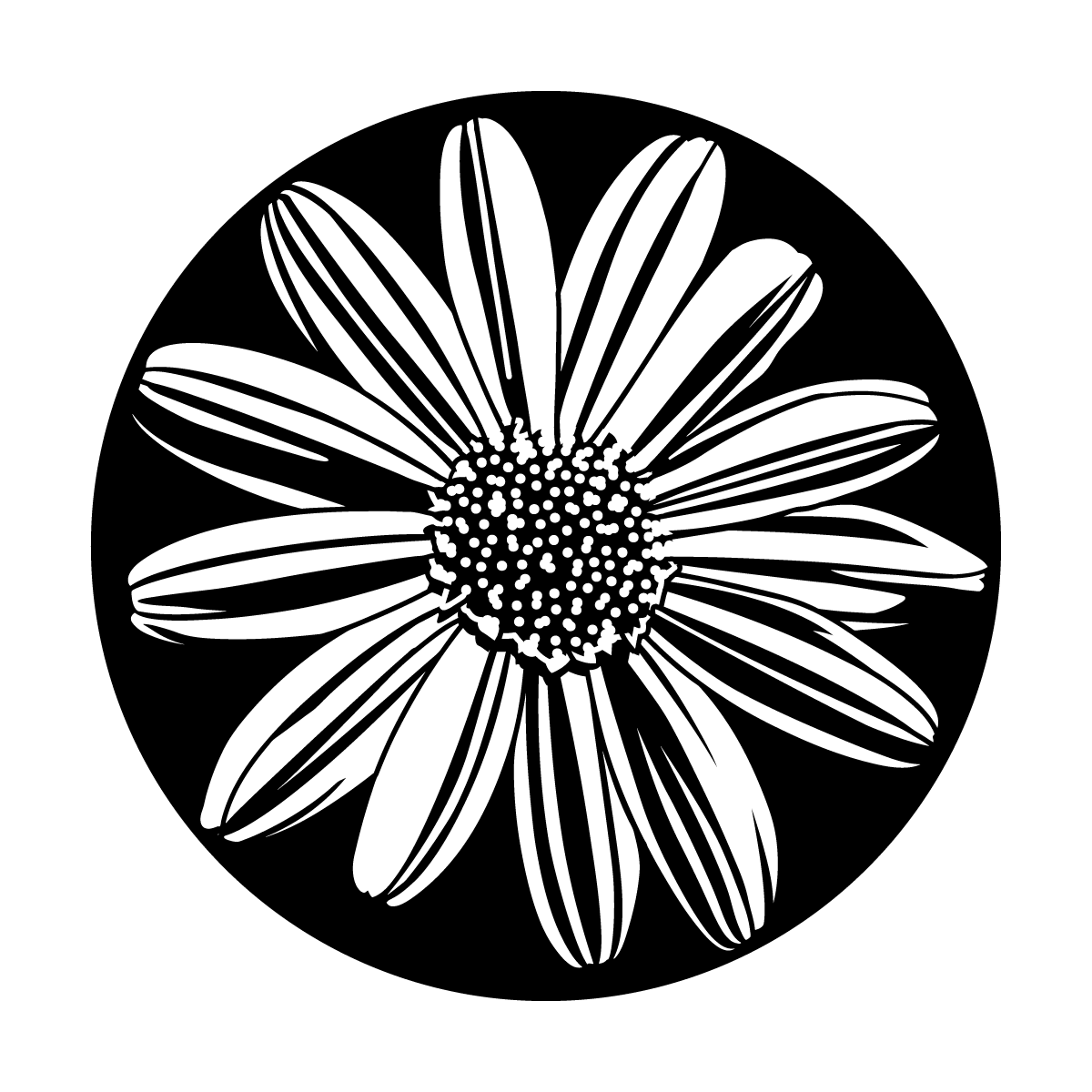 Simply Daisy