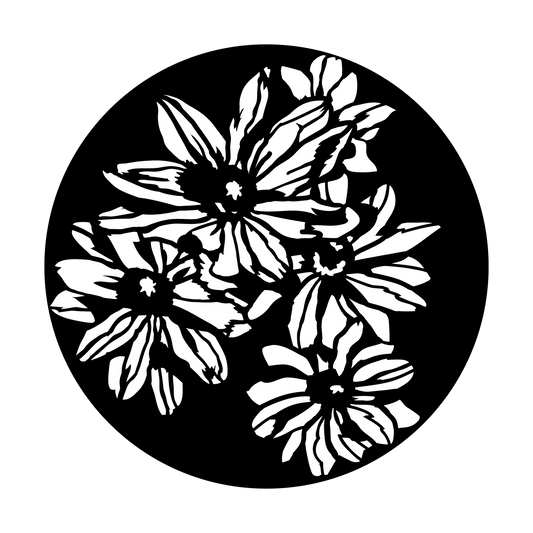 Daisy Group