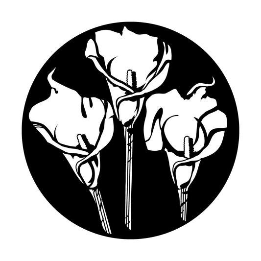 Calla Lily Trio