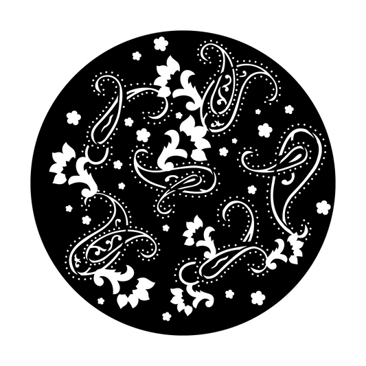 Breakup Paisley Print