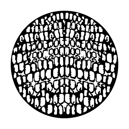 Crocodile