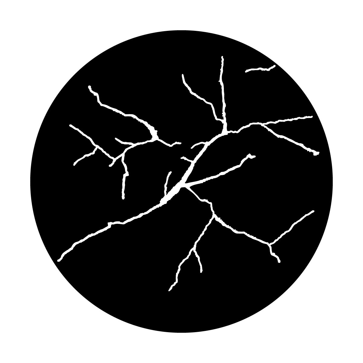 Fissures