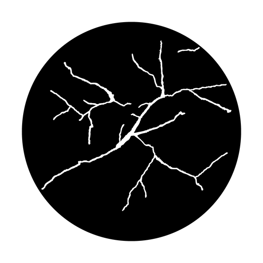 Fissures