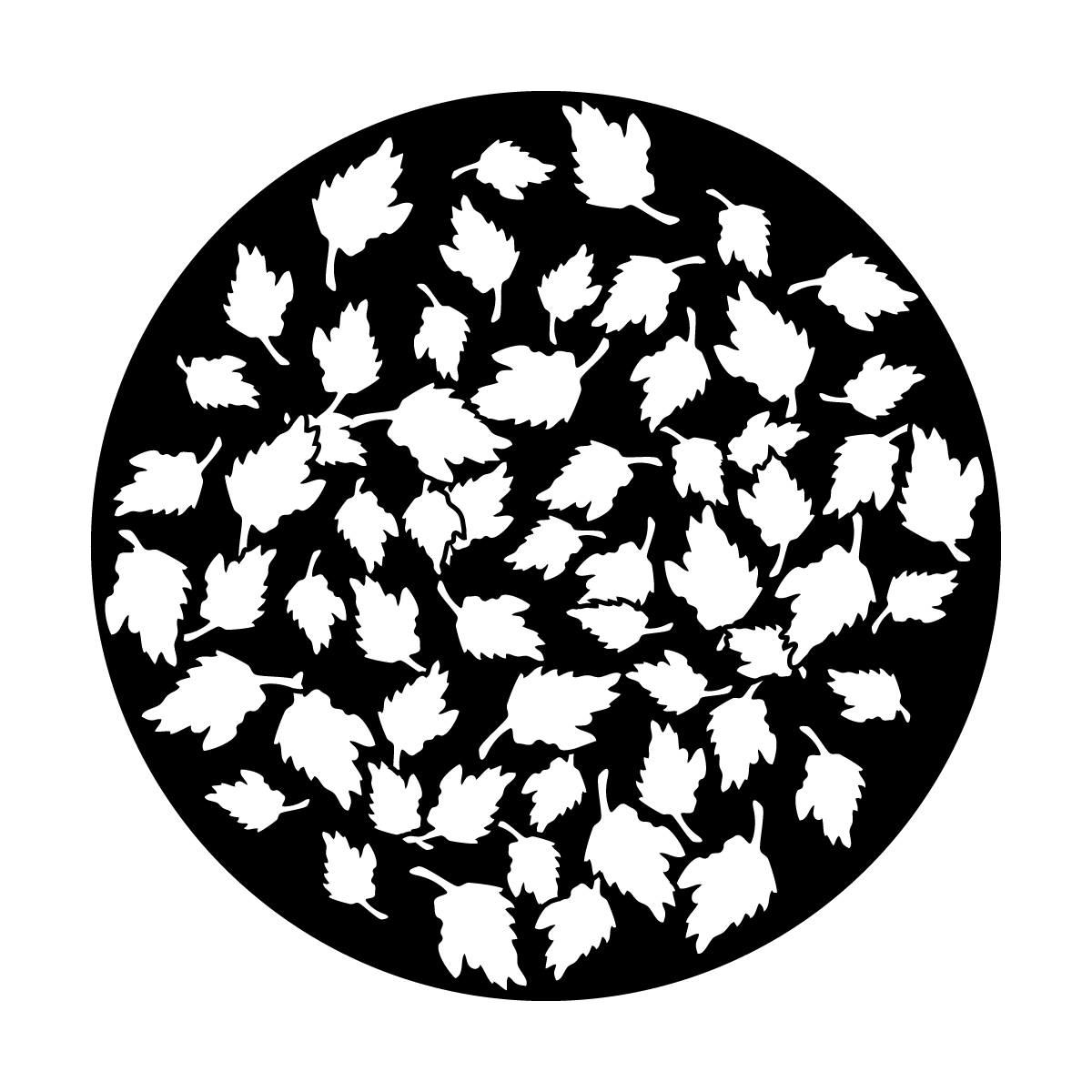 Breakup Rose Petals
