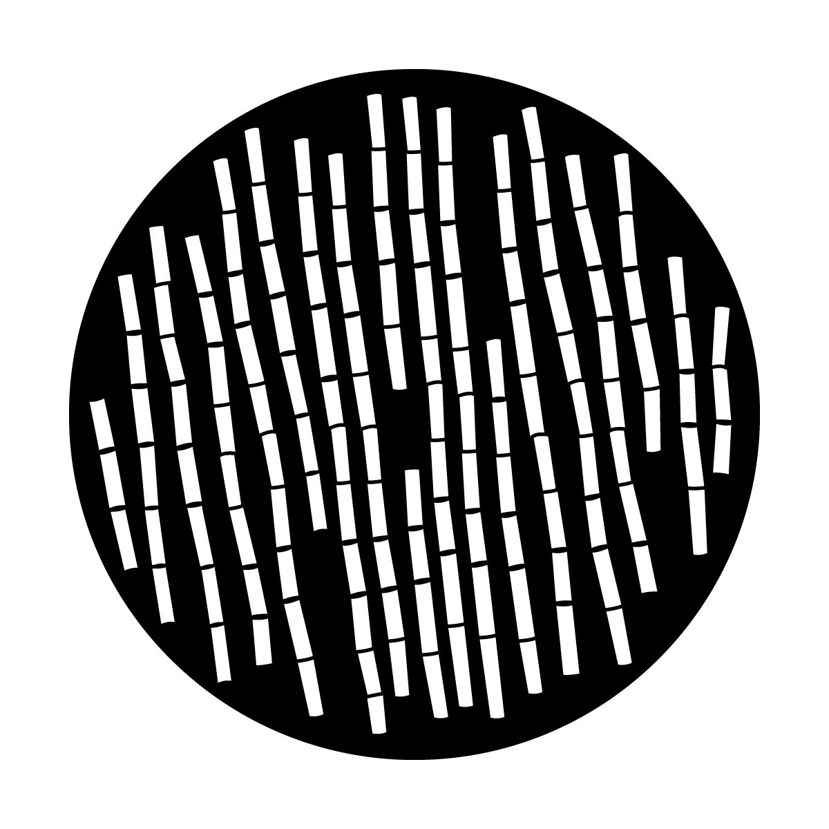 Bamboo Stems
