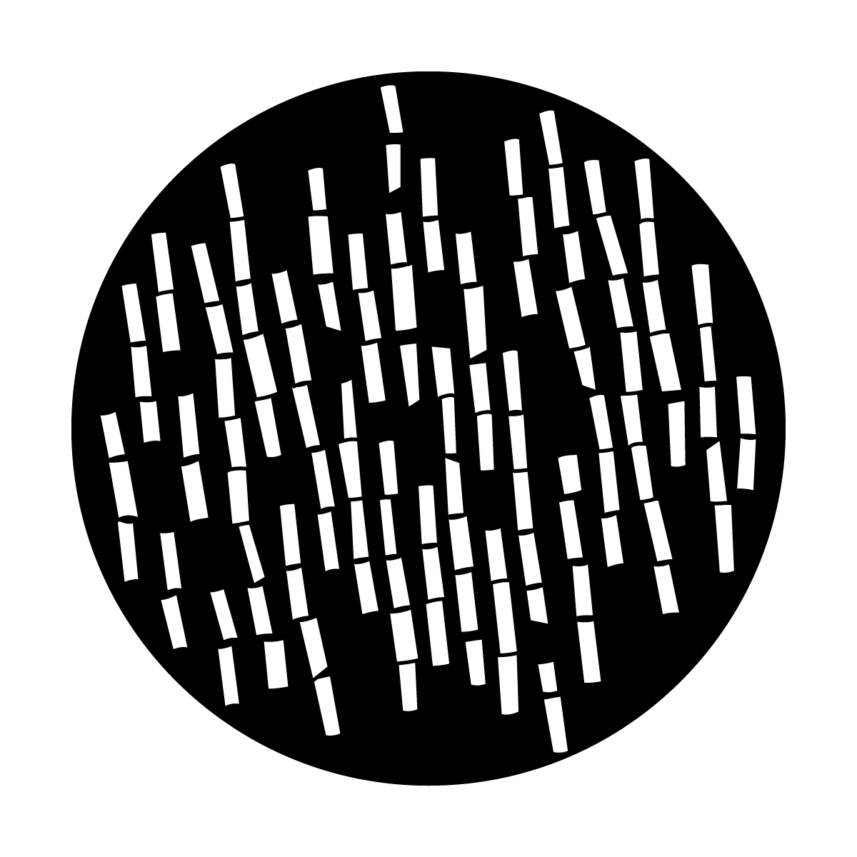 Scattered Bamboo Stems