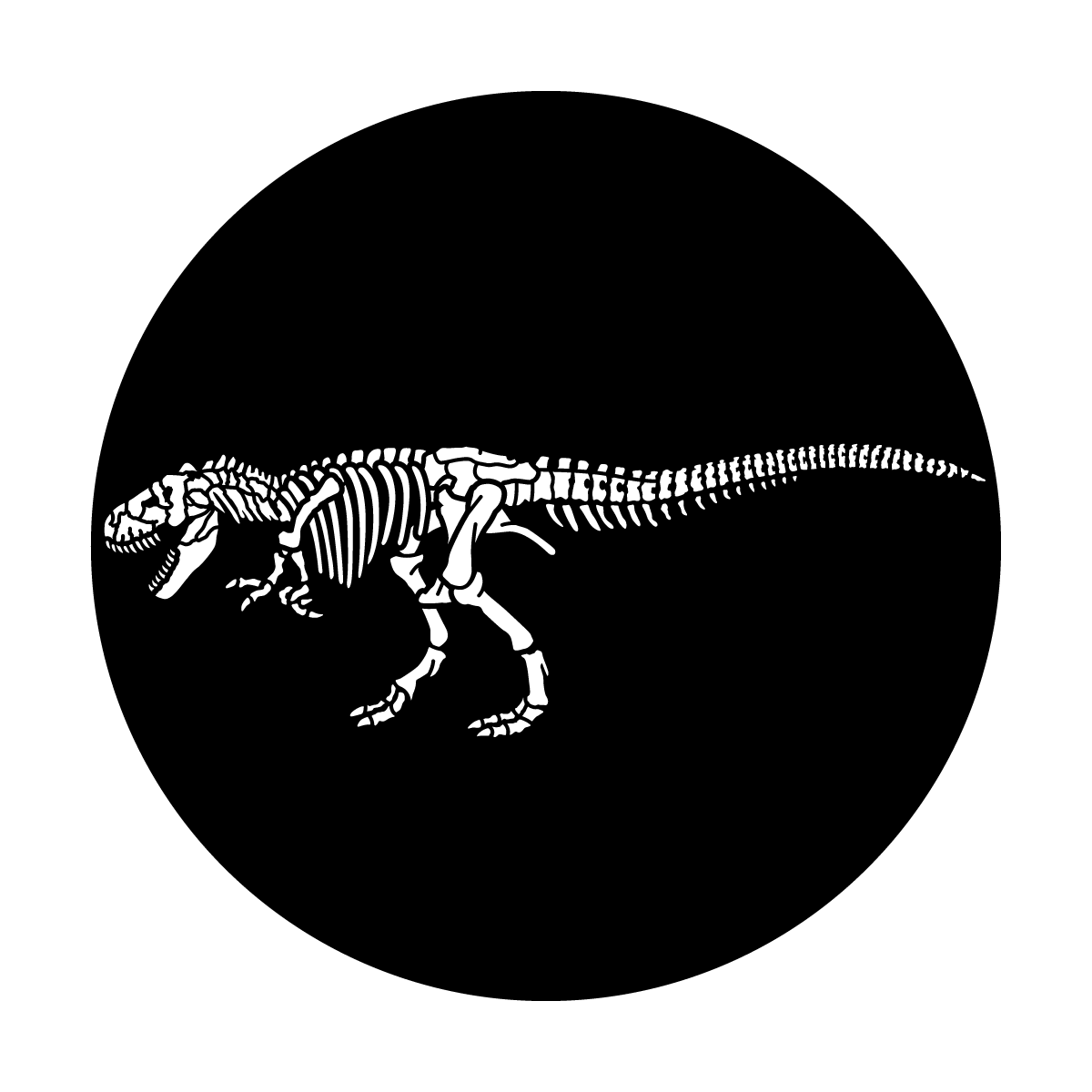 Fossil