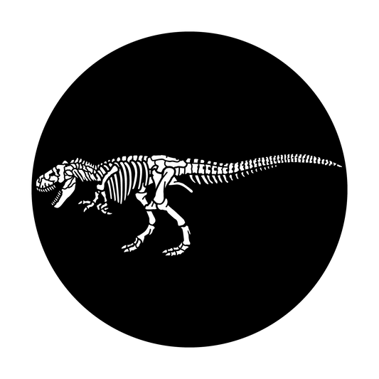 Fossil