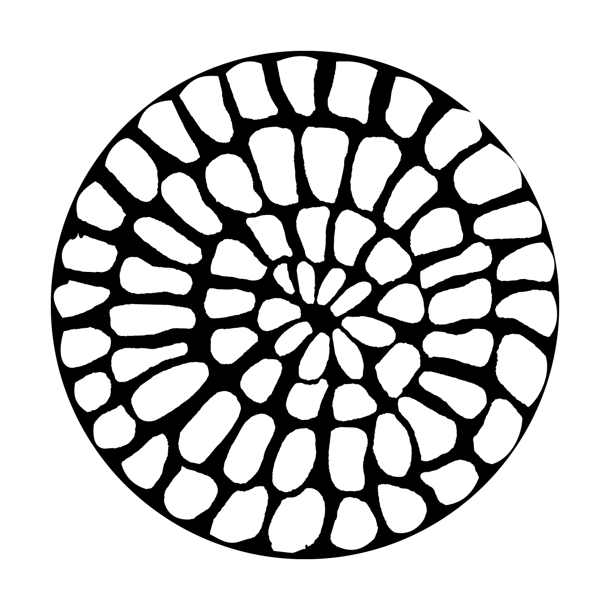 Web Soft