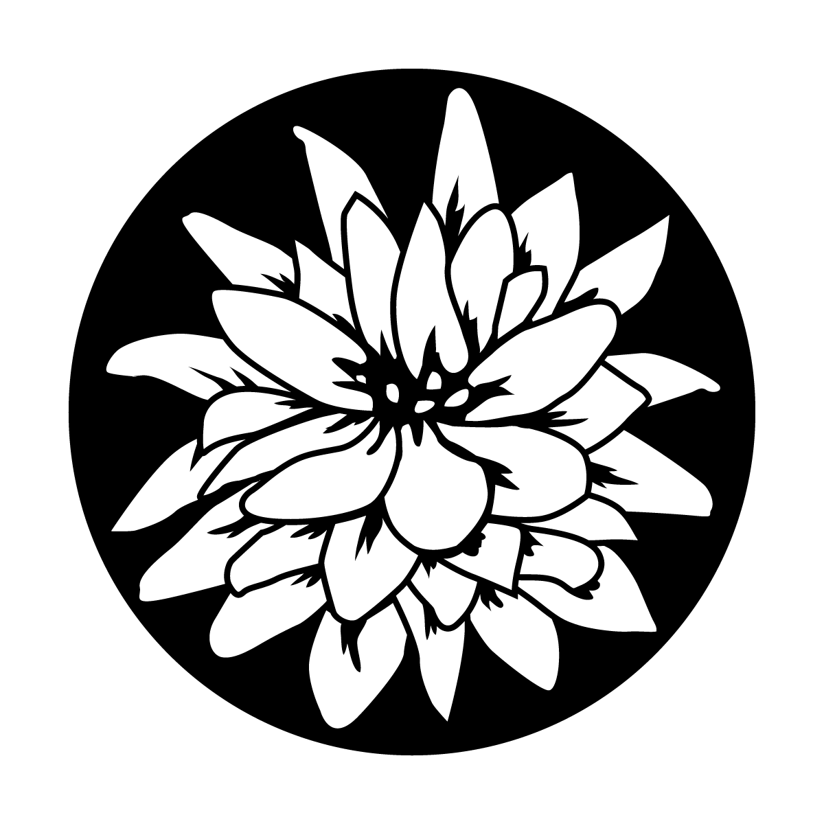 Flowering Lily