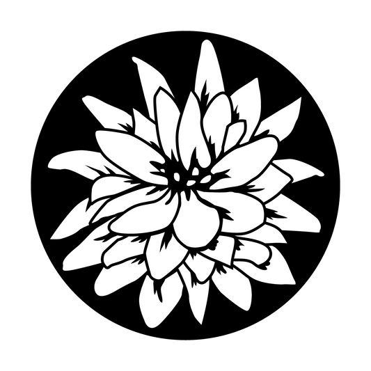 Flowering Lily