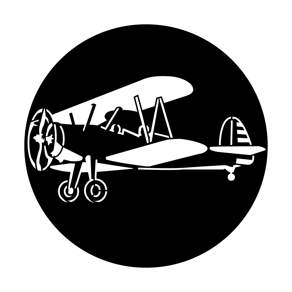 Aircraft Biplane