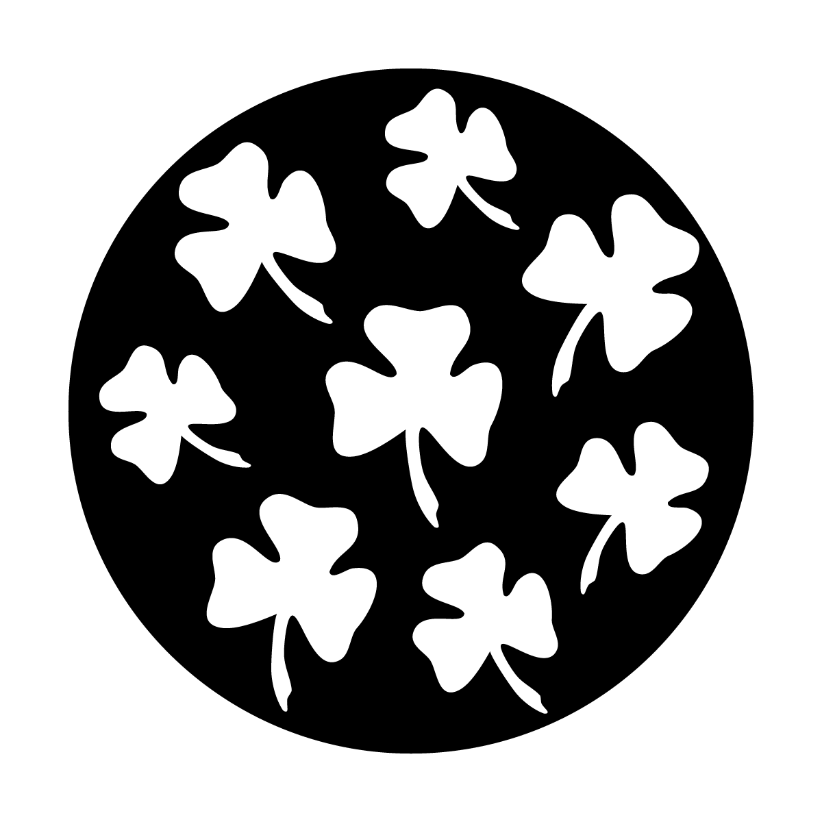 Shamrock Group