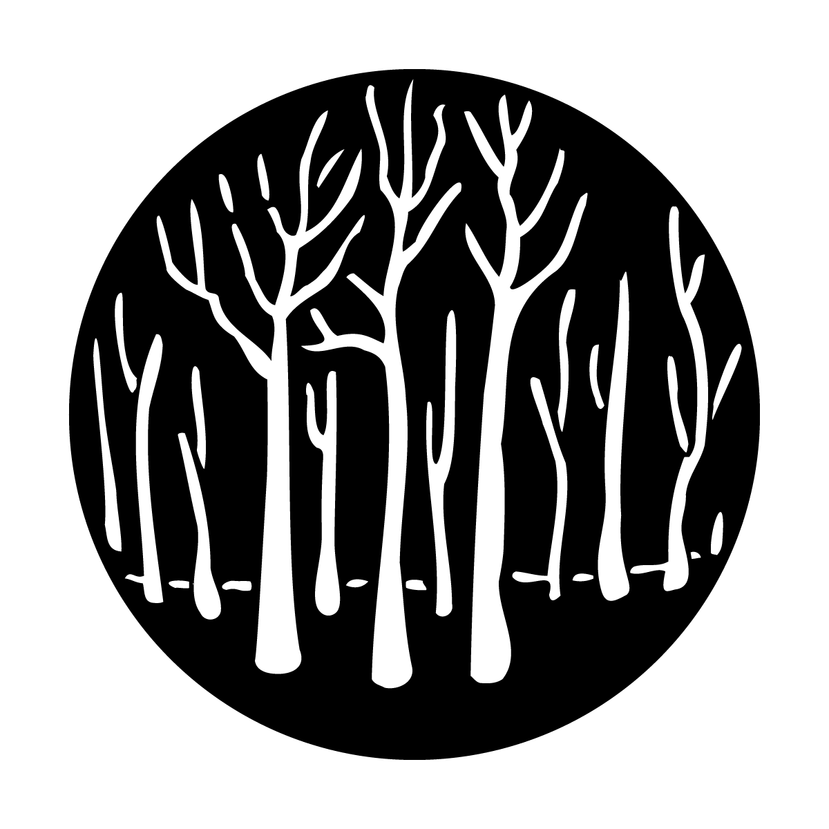 Trees Forest