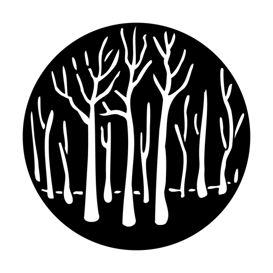 Trees Forest