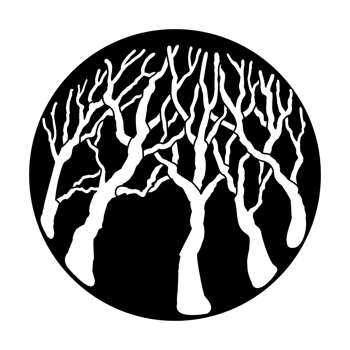 Trees Oak Forest