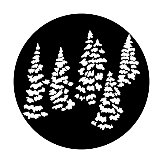 Trees Pine Group