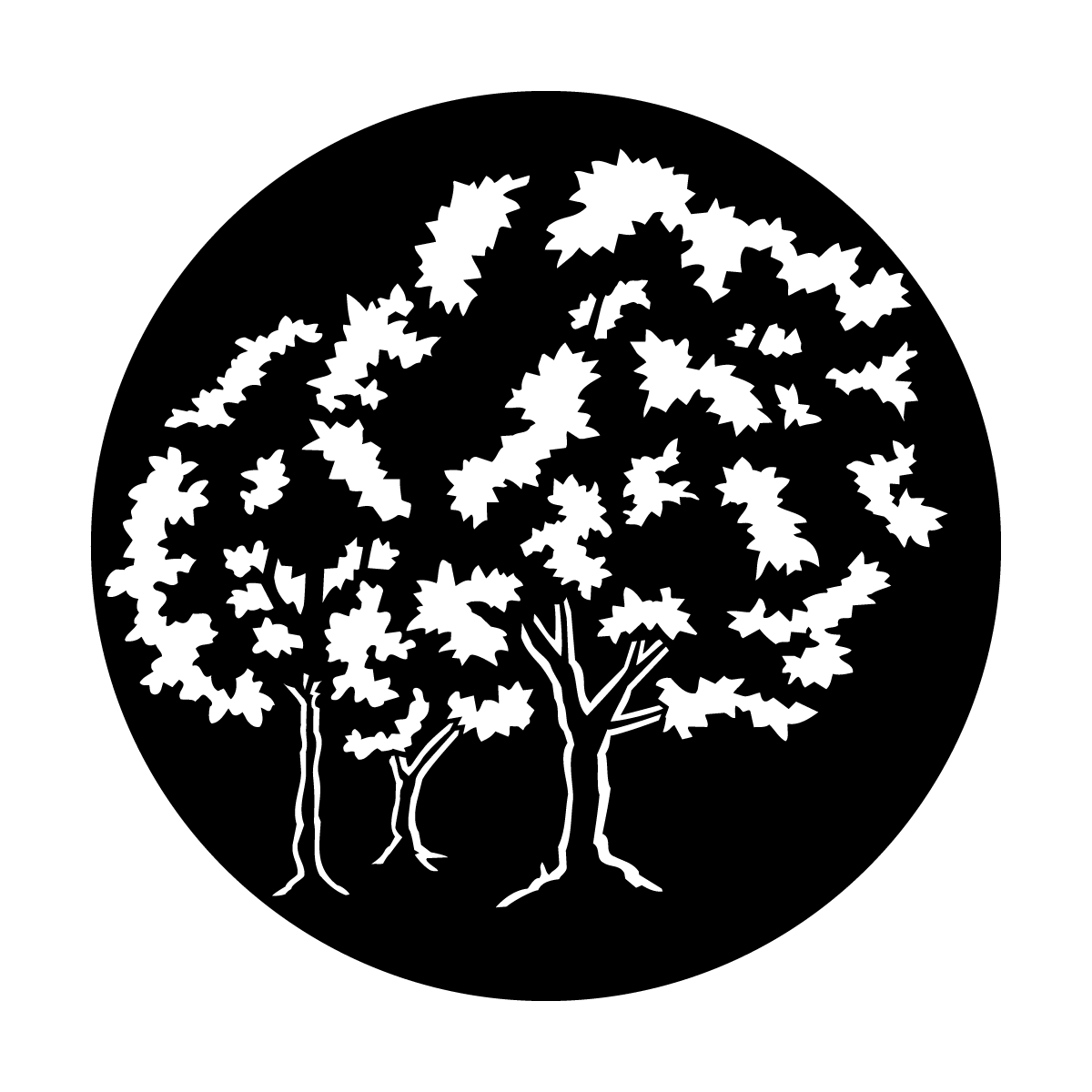 Trees Natural
