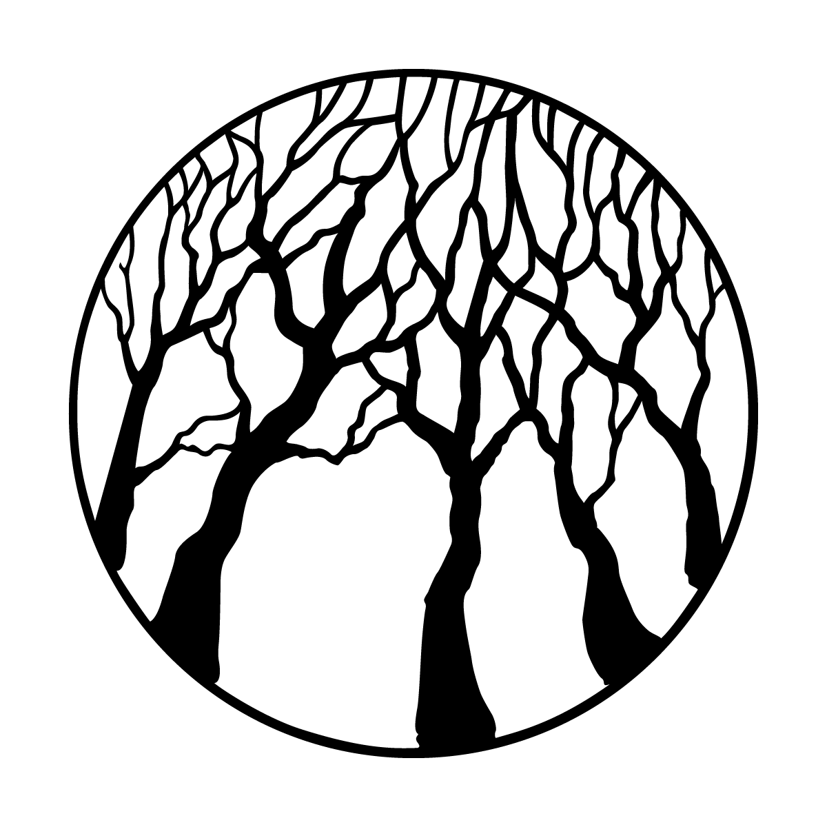 Trees Oak Forest Reversed