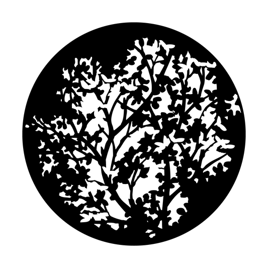 Spring Leaves